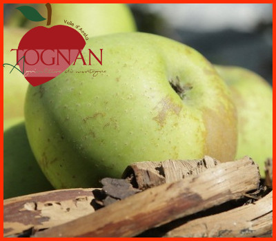 Tognan Azienda Agricola