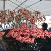 1023^ Fiera di Sant&#039;Orso